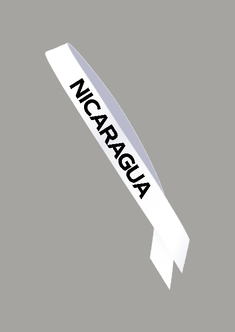 Miss Universe Embroidered Competition Sash