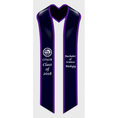 style_2p_purple_border