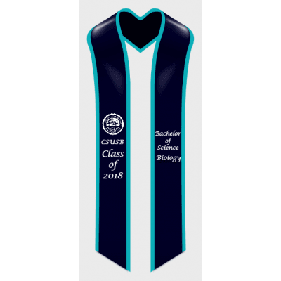 style_2p_teal_border