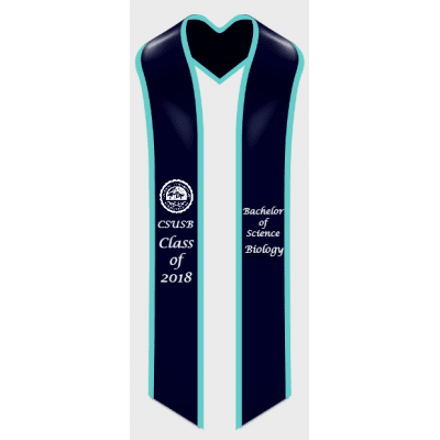 style_2p_tiffany_blue_border