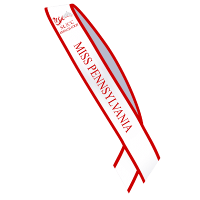 usa_ambassador_slicc_ambassador_sash_no_division