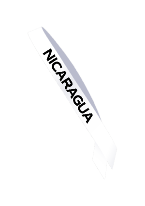 competition_sash1