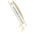 miss_eco_usa_state_sash_transparent