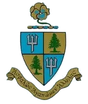 Delta Delta Delta